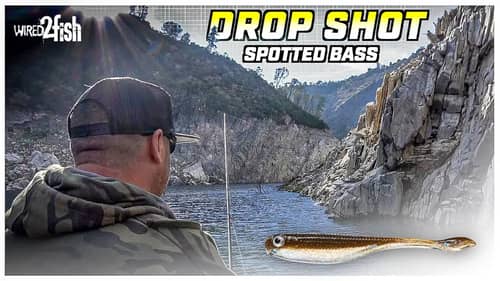 How to Catch Spotted Bass | Drop Shot Rig Steep Walls
