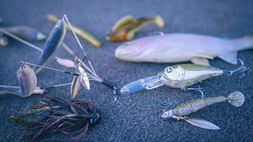 Buyer's Guide: Winter Bass Fishing Baits That Always Work