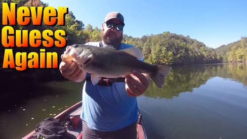 Best Fall Time, Best Fall Place, Best Fall Topwater Baits