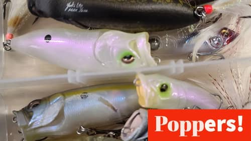 Megabass Pop Max & Megabass Pop X Topwater Mail Call with Oliver Ngy