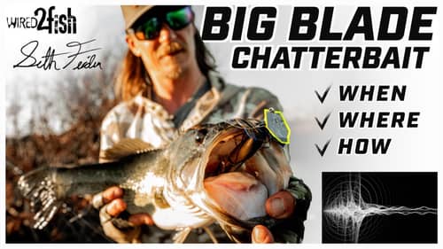 Big Blade ChatterBait Fishing with Seth Feider