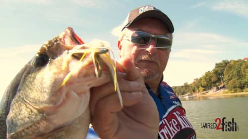 Everything You Wanted to Know About Swim Jig Fishing