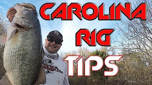 How to Setup and Fish a Carolina Rig