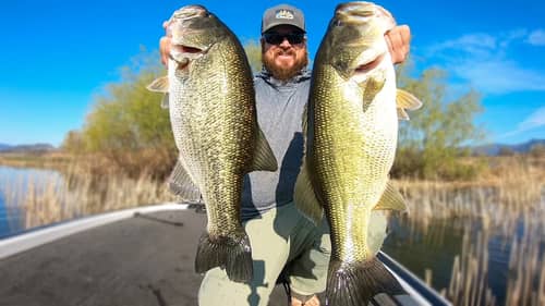 Bites On Every Cast! Spring Bass Fishing Chaos with Blade Baits and Glide Baits!