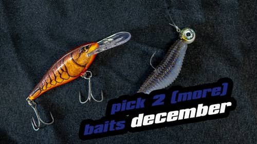 Pick 2 (More) Baits December