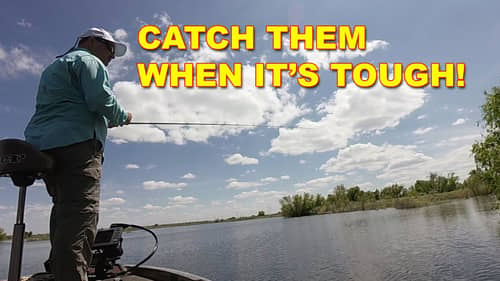 What Can You Do When The Fish Aren't Biting? | Bass Fishing
