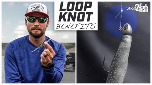 How to Tie a Loop Knot for Damiki Rigging