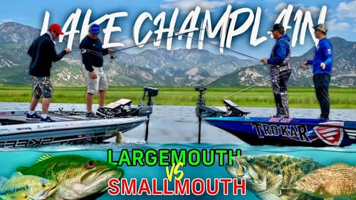Martin and Canterbury LARGEMOUTH vs SMALLMOUTH  on Lake Champain!