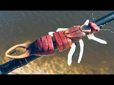 Giant EarWig Lure | Build to Catch