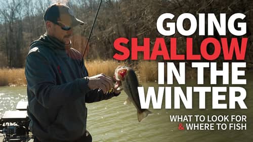Shallow Water Winter Fishing (When is it RIGHT?)