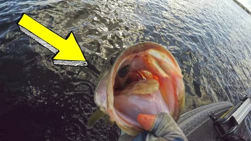 YouTuber vs PRO | FISHING Challenge PUNCHING for Bass!!!