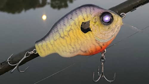 LED Light In The Eye CrankBait | One Day Build to Catch