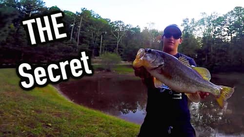 #1 Fishing Secret