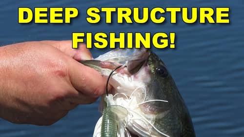 The Best Way To Find Deep Water Bass | How To | Bass Fishing