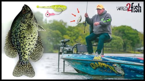 Jig Fishing Spring Crappies on Grass Lines with Mr. Crappie