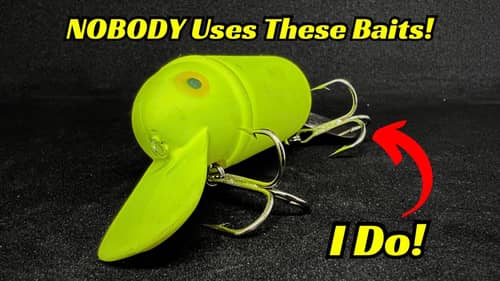 Why Is NOBODY Using These Baits! Don’t Sleep On These Fishing Lures!