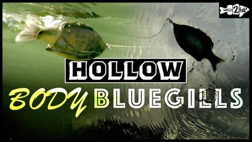 Hollow Body Bluegill Baits: 3 Advantages Over Frogs