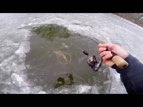 GIANT Fish Hooked Under CLEAR Ice (Crazy Fight)