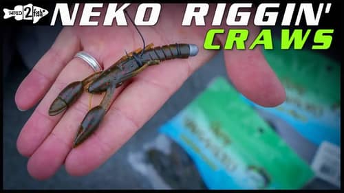 Catch Loads of Bass on Neko-Rigged Crawfish Plastics