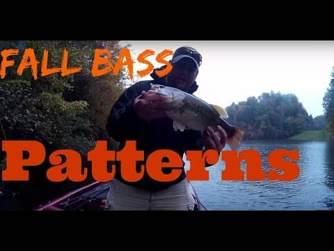 Fall Bass Fishing Patterns