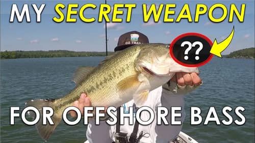 How to Fish Hair Jigs for Bass | Offshore Summer Fishing
