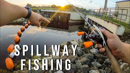 Spillway Fishing For Saltwater and Freshwater Fish!