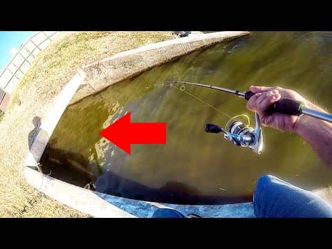 Fishing a SEWER for the WEIRDEST FISH!!!