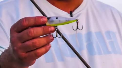 THIS is Why PROs Fish Topwaters For BASS at Dusk! Dean's Fishing Tips