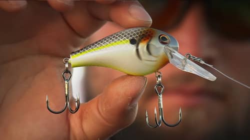 When and Why to Fish Erratic Crankbaits