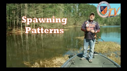 Spawning Locations and Patterns with Pete Gluszek
