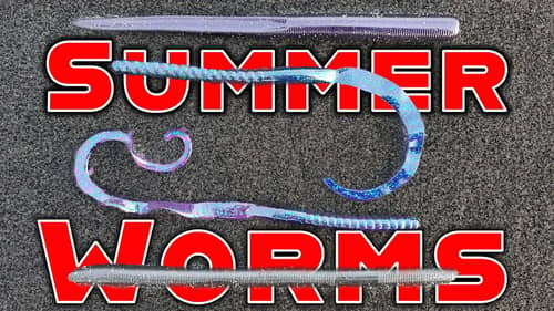 Big Worms for Summer Bass Fishing! (Texas Rig, Carolina Rig, Shaky Head)