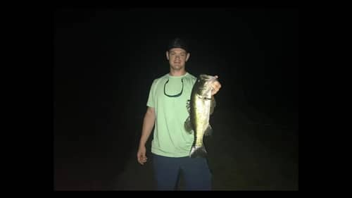 GOLF COURSE pond fishing in FLORIDA