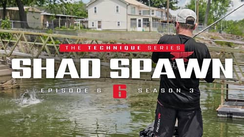 The SHAD Spawn – Targeting Early Post Spawn Bass