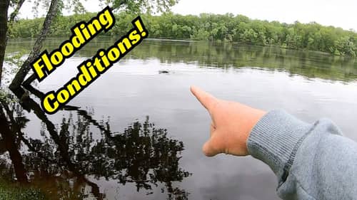 Flooding Conditions! Now what? Use It To Your Advantage!