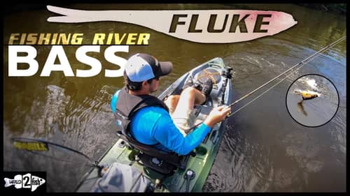 4 Tips for Bass Fishing Rivers with Flukes