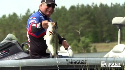 Flipping and Pitching Equipment | Bass Fishing