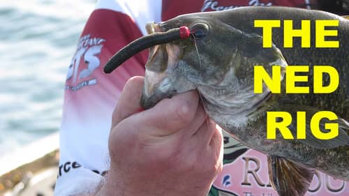 How To Fish The Ned Rig | Bass Fishing