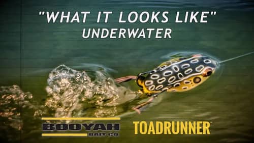 BOOYAH ToadRunner | What it Looks Like Underwater