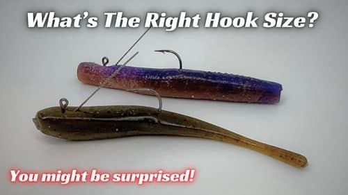 Hook Size Matters!!! How Do You Choose Properly?
