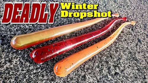 Deadly Winter Drop shot Rig