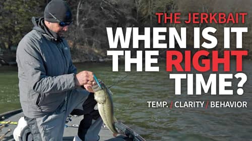 Winter JERKBAIT Fishing (When is it the RIGHT Time?) ❄️