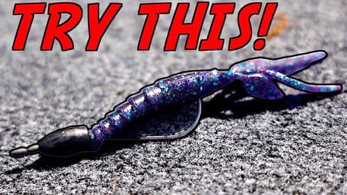 This PROVEN Texas Rig Will DOUBLE Your Catch!