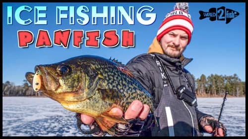 2-Pronged Approach to Catch Early Ice Panfish (FIRST ICE TIPS)