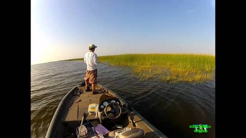 GoPro Mixtape (Big Bass Flipping, Pitching, and Topwater at Lake Okeechobee)