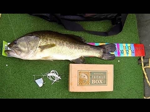 Online Bass Fishing Tournament - MTB Slam of the Year