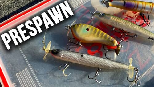 This STRANGE Topwater Lure is DEADLY for the PRESPAWN