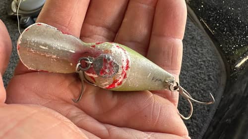 “Beat Up” Looking Lures…Why The Best Bass Anglers Stay Silent About Them…