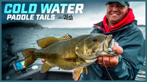 Swimbaits for Smallmouth | Fall and Winter Location, Gear, Retrieves