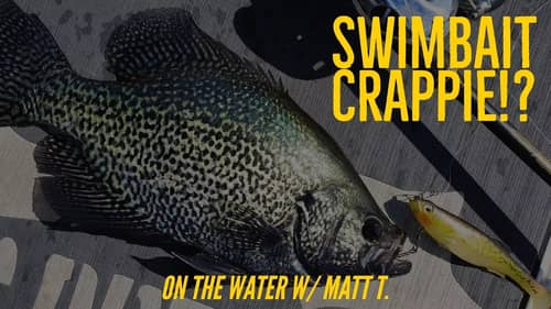 Jerkbait & Swimbait Fishing in Northern California with Matt Tueten Part 3