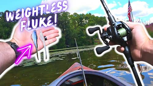 How Have I NEVER Fished This Before!?  Learning How To Weightless Fluke